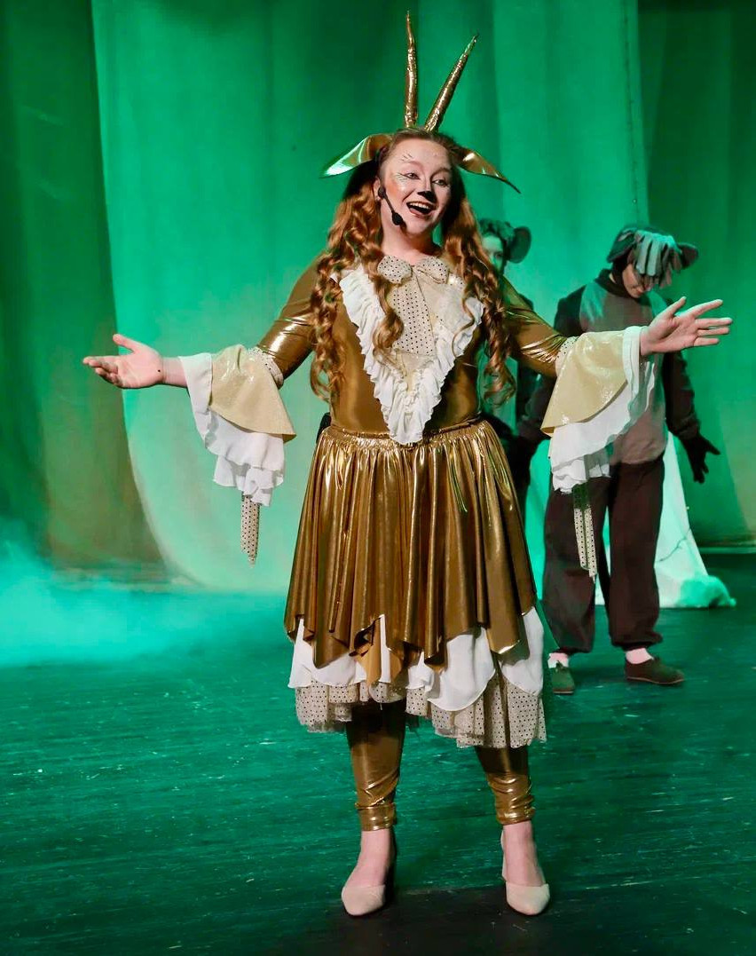 Мюзикл «Золотая антилопа»